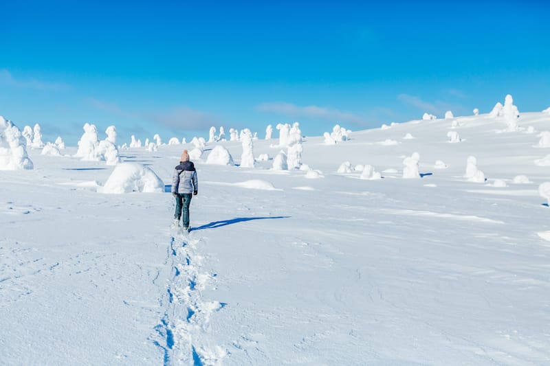 Lapland snowshoeing in Finland