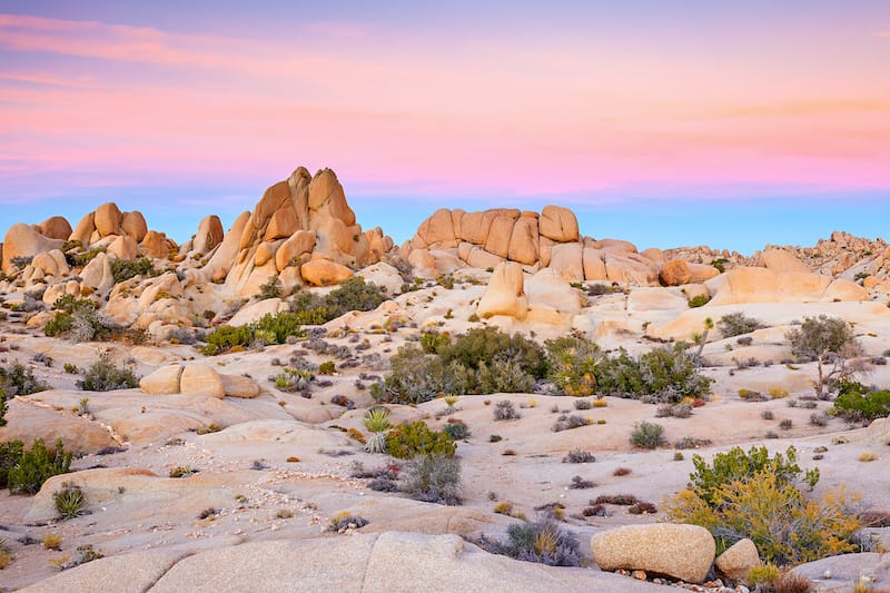 One day in Joshua Tree