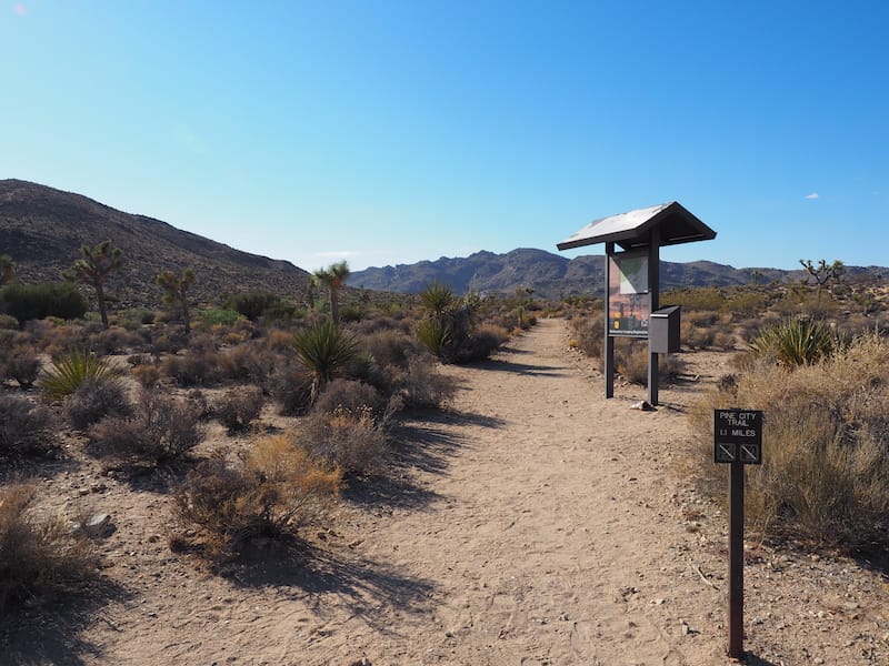 Pine City trail in Joshua Tree National Park