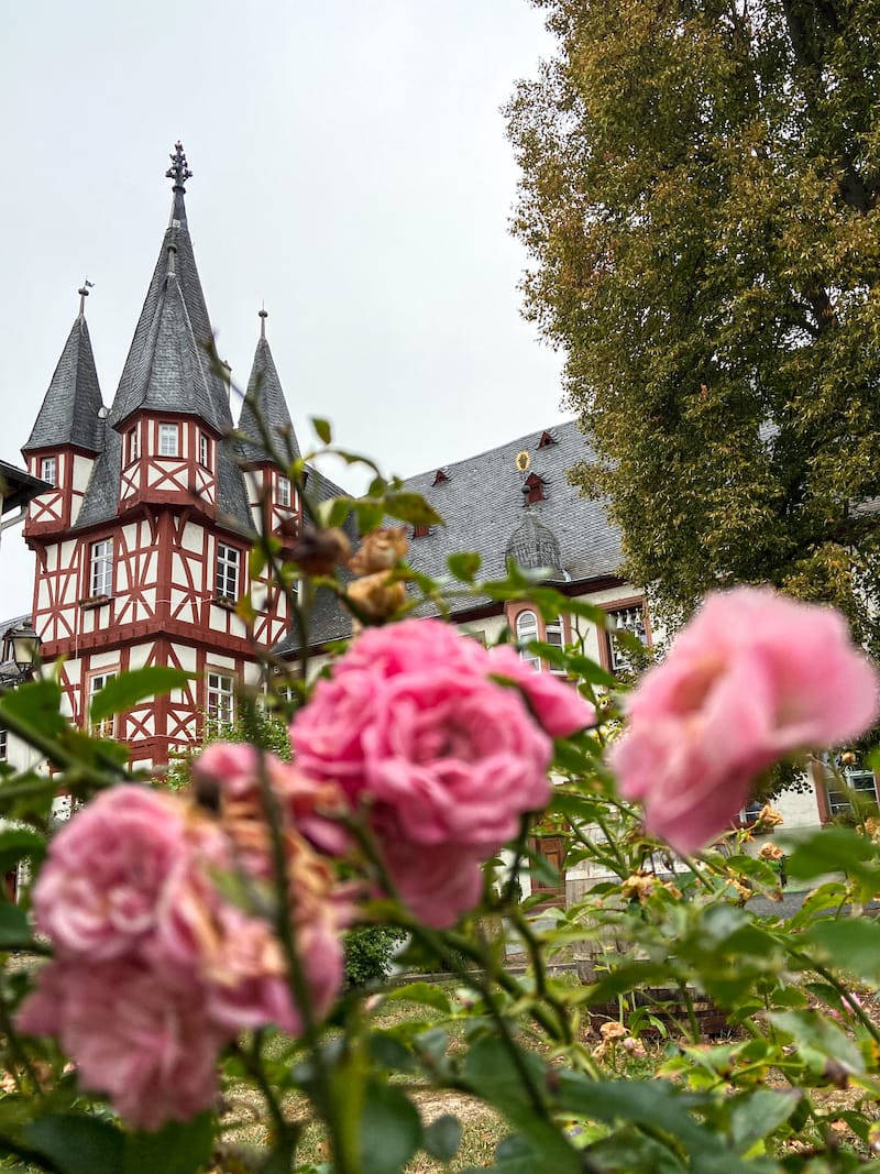 Things to do in Rudesheim am Main, Germany