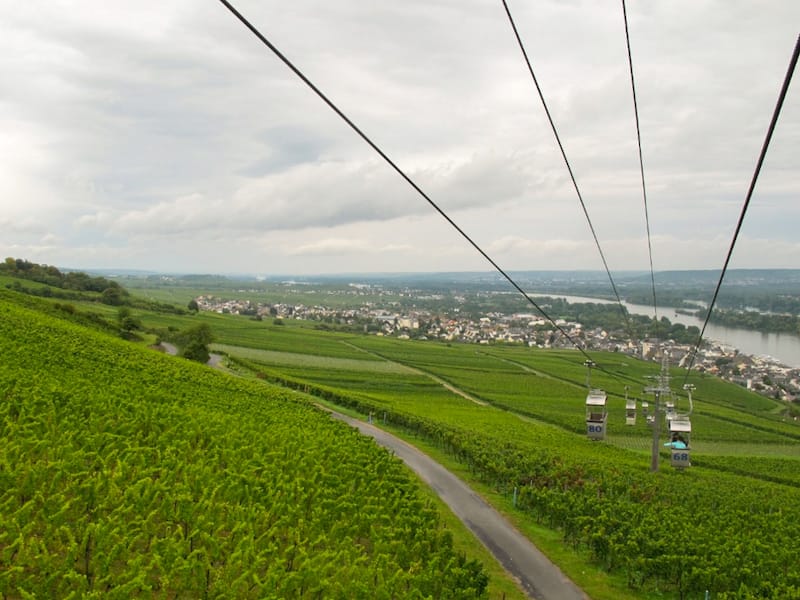 Rudesheim Things to do travel guide-4