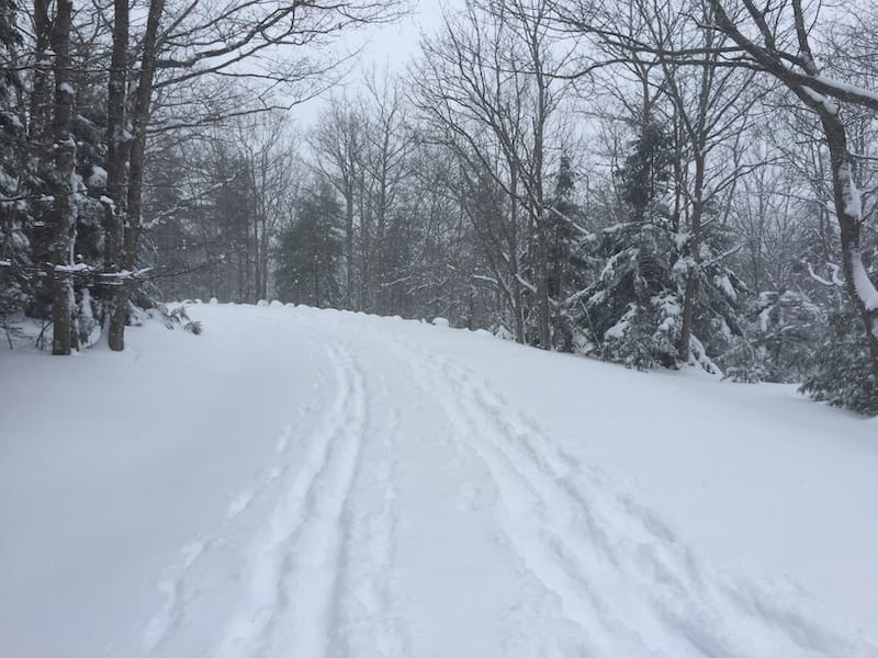 Skiing in Acadia NP