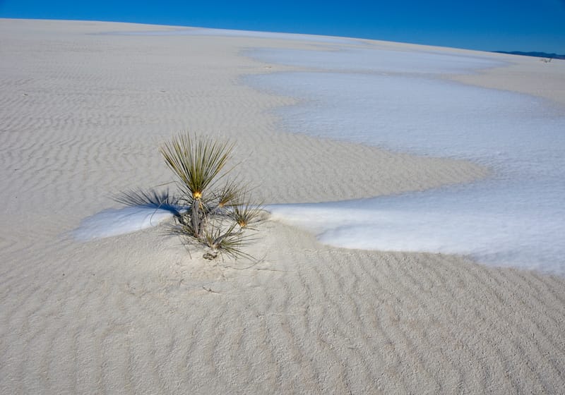 Snow on the ground in White Sands National Park in New Mexico USA