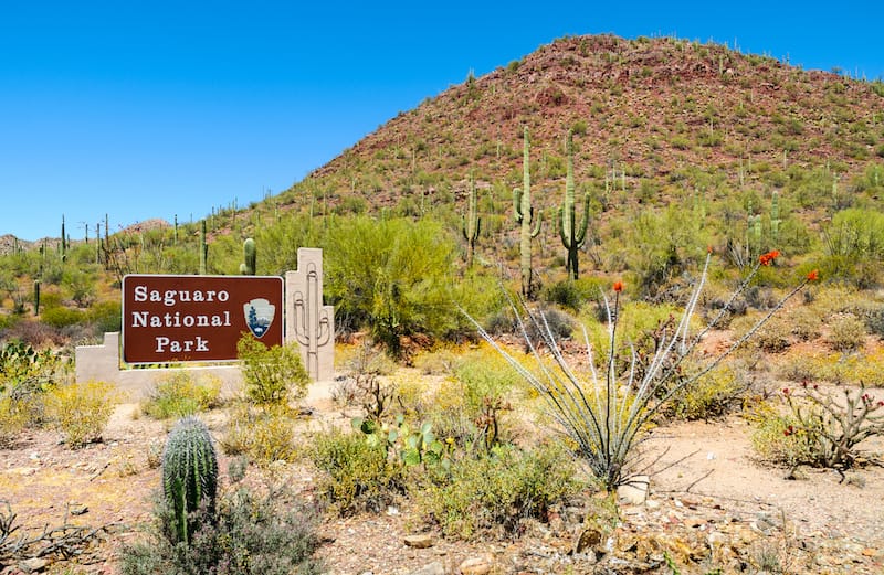 Welcome Sign at Saguaro National Park