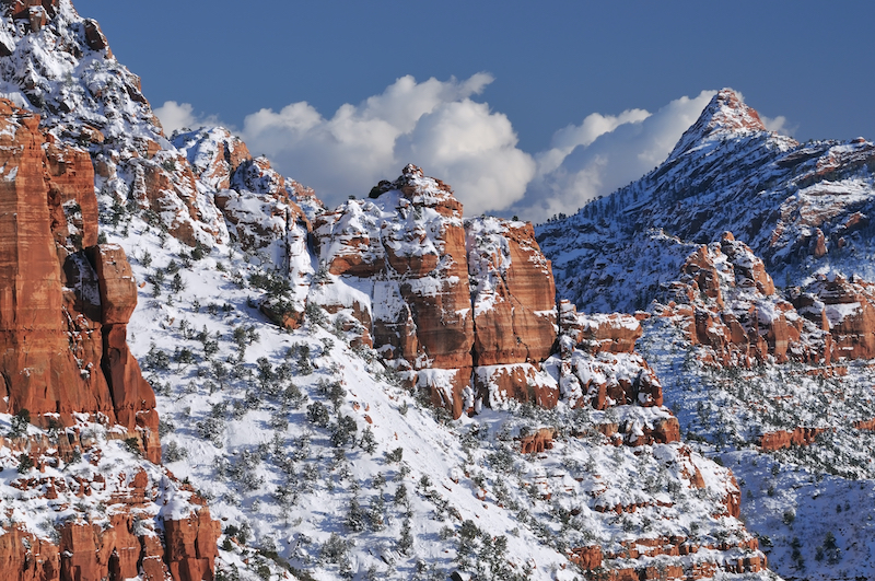 Winter in Zion National Park