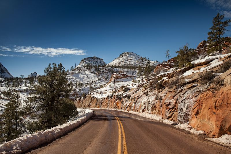 Zion in January