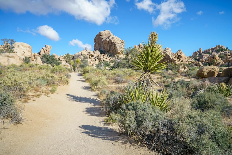 hidden valley trail in joshua tree national park