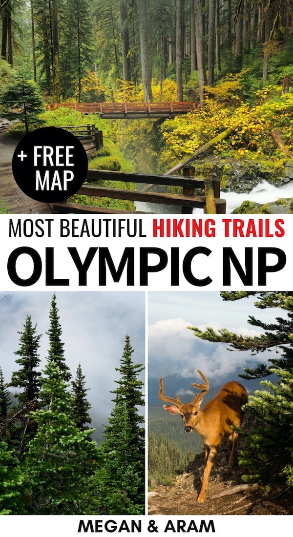 Are you an active traveler and looking for the best hikes in Olympic National Park for your upcoming trip? This Olympic National Park trails post has you covered! | Olympic National Park hiking | Olympic National Park hikes | Hoh Rainforest hikes | Hoh Rainforest trails | Washington hiking | US National Parks | Washington National Parks | PNW hiking | PNW trails | Olympic National Park nature | Olympic National Park photography | PNW waterfalls | Olympic National Park itinerary 