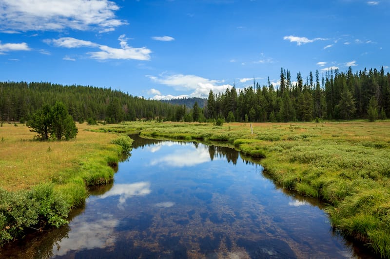 Bear Valley Creek in the Boise National Forest