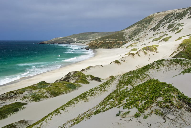 Channel Island National Park