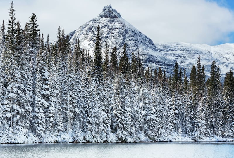 Glacier National Park mountains and trees in winter