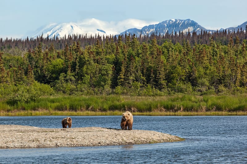 Katmai National Park