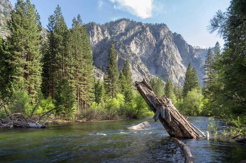 Kings Canyon National Park in California