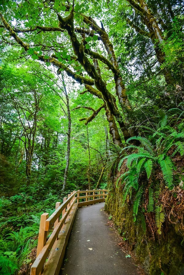 Madison falls in olympic national park