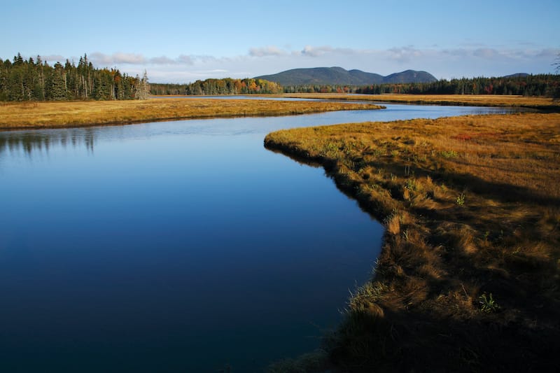 Marshall Brook, Acadia National Park, Maine