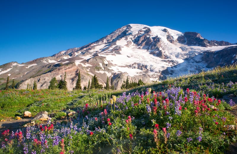 Mount Rainier National Park