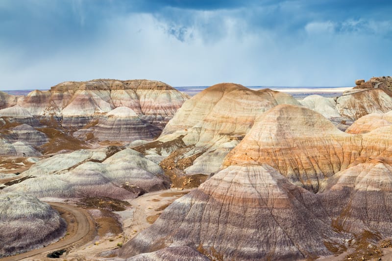 Petrified Forest National Park in AZ