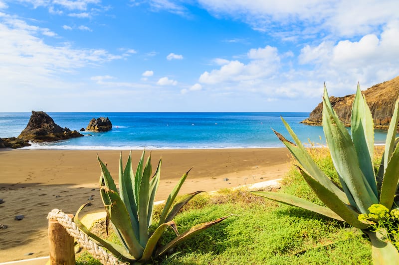 Prainha beach with tropical plants in foreground near Canical town