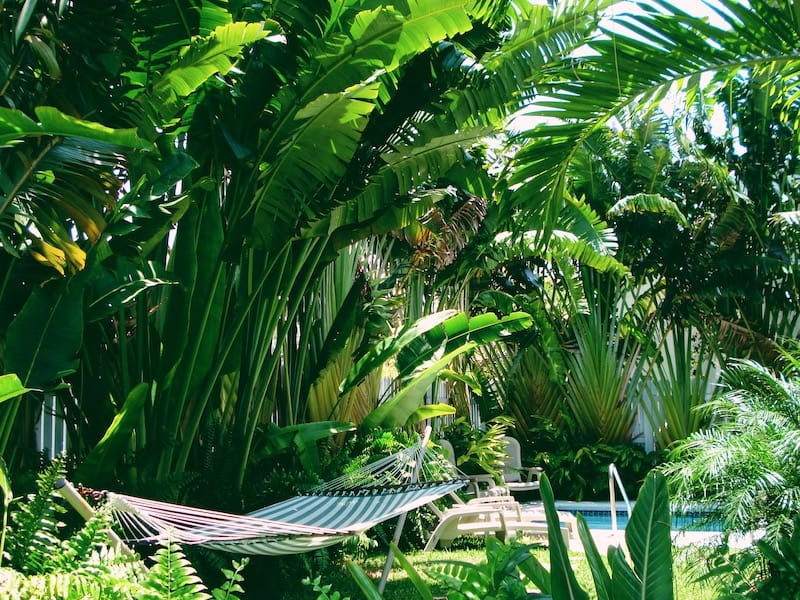 Relaxing by a hammock in Florida