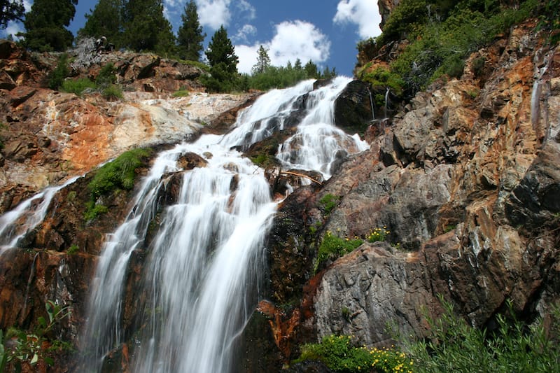 Sequoia National Park California in spring