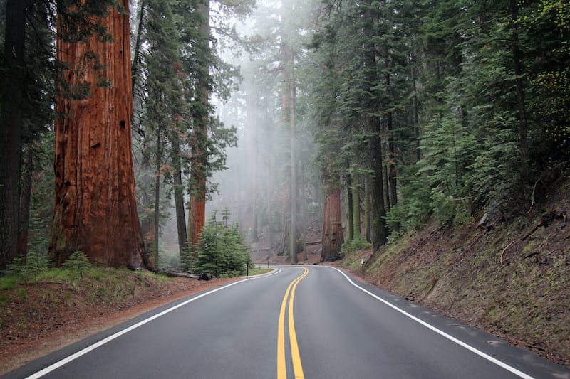 Sequoia National Park