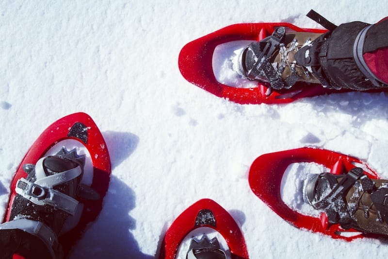 Snowshoeing in Glacier Lake National Park