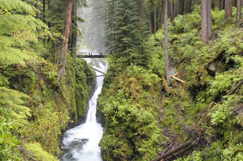 Sol Duc Falls at Olympic National Park