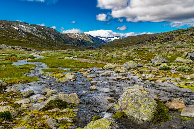 Summer scenery in Jotunheimen national park in Norway