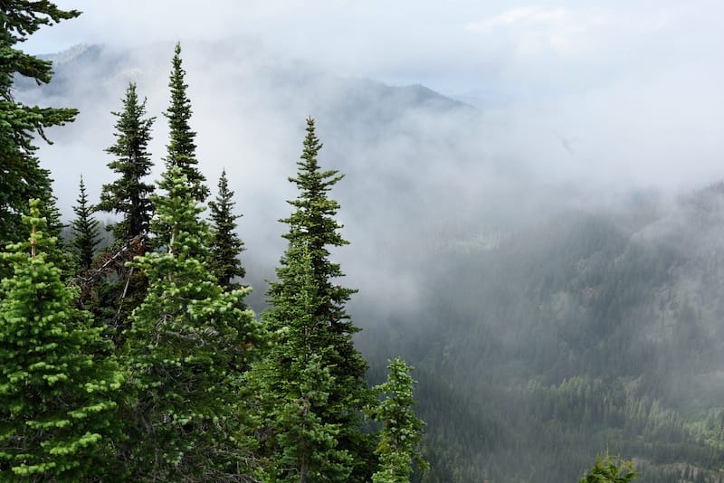 Sunrise Point hiking in Olympic National Park