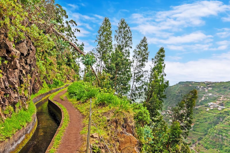 Things to do in Madeira - walk the levadas