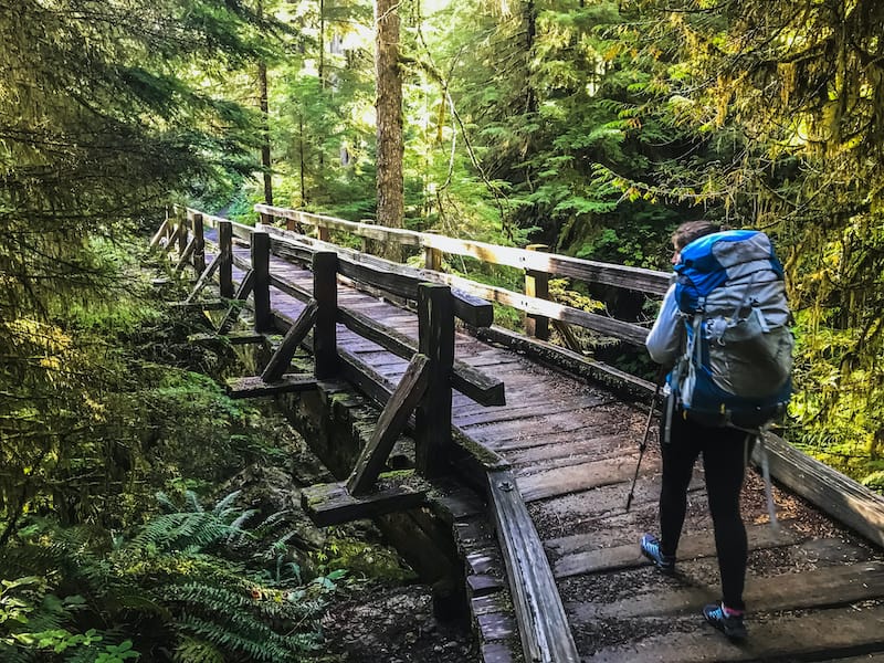 Best hiking trails deals in olympic national park