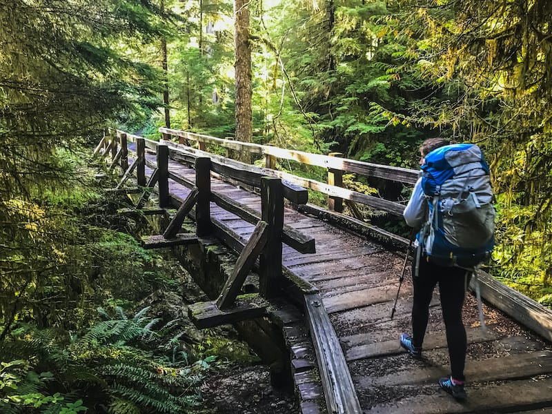 Trails in Olympic National Park