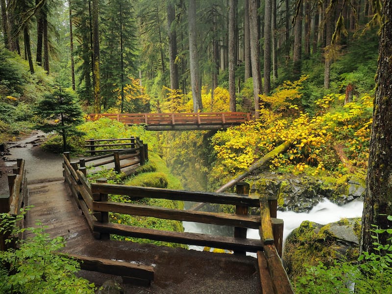 Best hikes in Olympic National Park and Hoh Rainforest