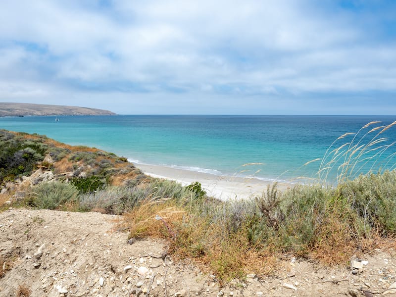 Water Canyon Beach, Coastal Road, near Ranch at Bechers Bay Pier on a sunny spring day, Santa Rosa Island, Channel Islands National Park