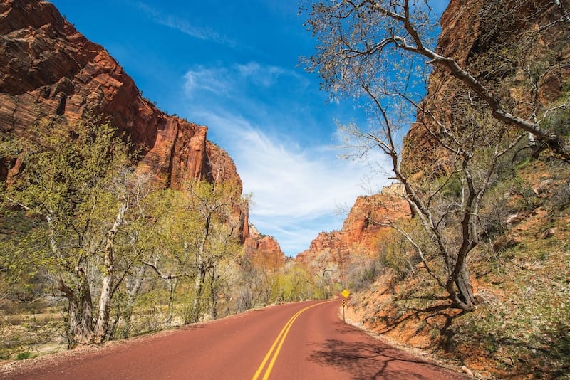 Zion National Park in spring