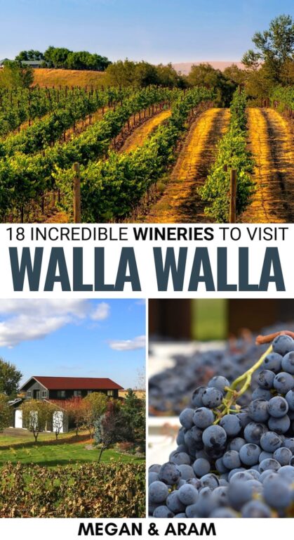 Do you have plans to check out the best Walla Walla wineries? This guide leads you to the finest wineries in Walla Walla Valley - including many tasting rooms! | Walla walla wine tours | Wine in Washington | Washington wine | Walla Walla wine | Walla Walla Valley wine | Washington vineyards | Walla walla vineyards