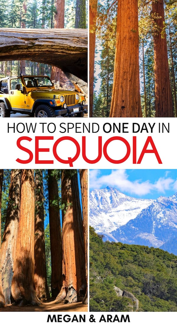 Curious about how to spend one day in Sequoia National Park? This guide gives you tips for things to do and how to plan your Sequoia National Park itinerary. | Sequoia National Park hikes | Sequoia National Park camping | Sequoia National Park winter | Sequoia National Park one day itinerary | sequoia and kings canyon