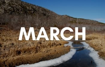 National Parks in March