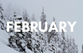 National Parks in February