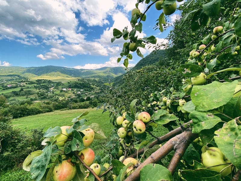 Debed village Armenia