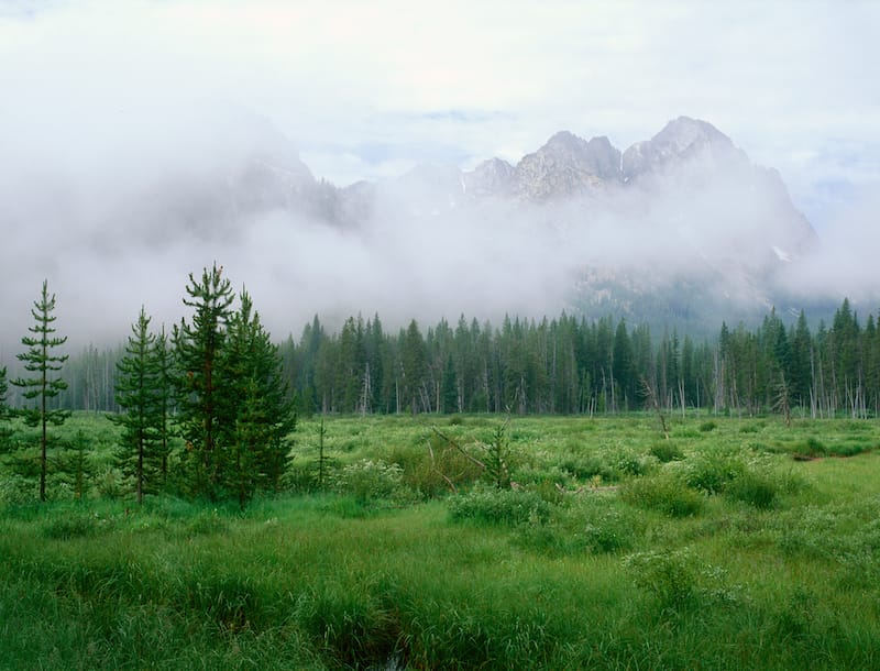 Fishhook Creek trail in Idaho