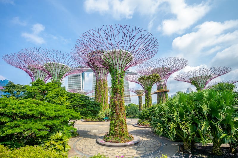 Landscape of Gardens by the Bay in singapore