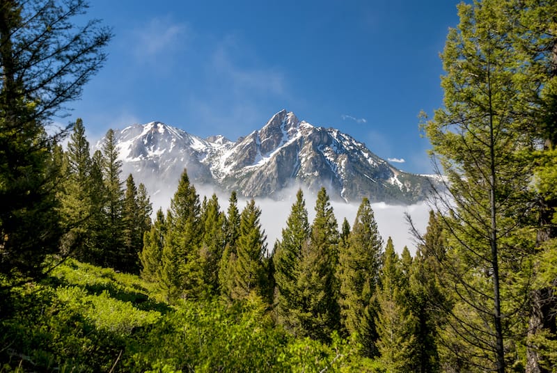 https://www.meganstarr.com/wp-content/uploads/2020/12/Sawtooth-Mountains-in-Stanley-Idaho.jpg