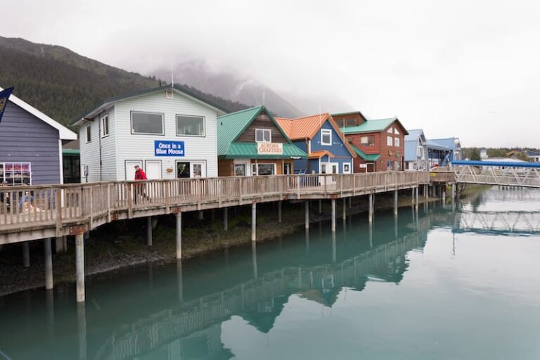 12 Best Airbnbs in Seward, Alaska (+ Oceanview Cabins)