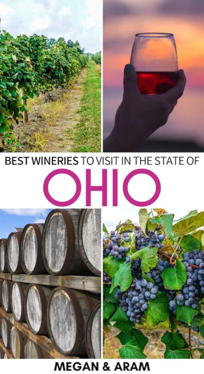 Wine in Ohio is not nearly talked about enough! This guide lists great Ohio wineries and includes a map to the best wineries in Ohio to add to your bucket list! | Ohio wine | Ohio vineyards | Ohio winery | Ohio wine trail | Ohio wine tour | Ohio wine country | Winery ohio | Best winery in Ohio | Columbus Ohio winery | Cincinnati Ohio winery | Geneva Ohio winery | Northeast Ohio winery