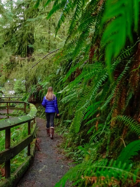 Best-hikes-in-Olympic-National-Park