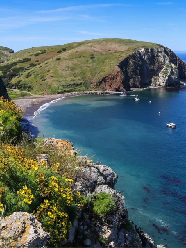 5 Reasons to Channel Islands National Park