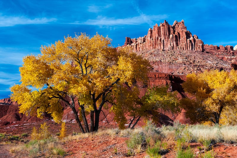 Capitol Reef National Park things to do