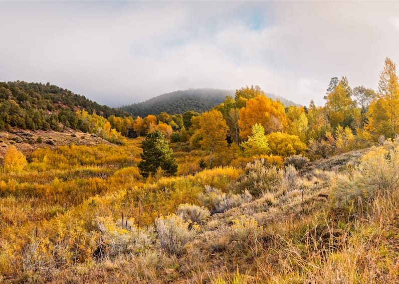 Dale Balls Trail North-shutterstock_1207001935