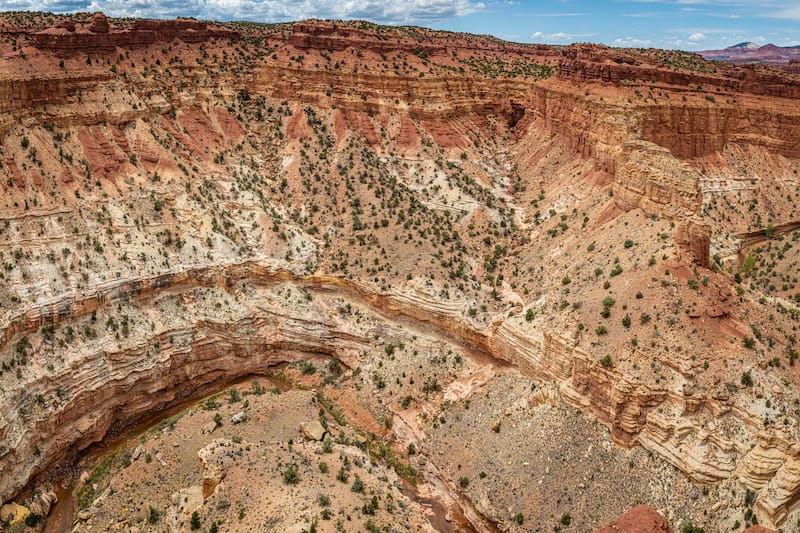 Goosenecks Overlook in Capitol Reef National Park